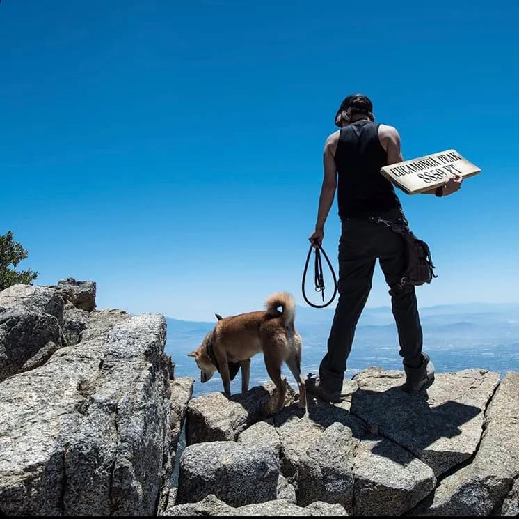 Hiker and dog crossing a rocky summit with a Ukoala bag worn at the hip